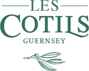 Les Cotils Terrace